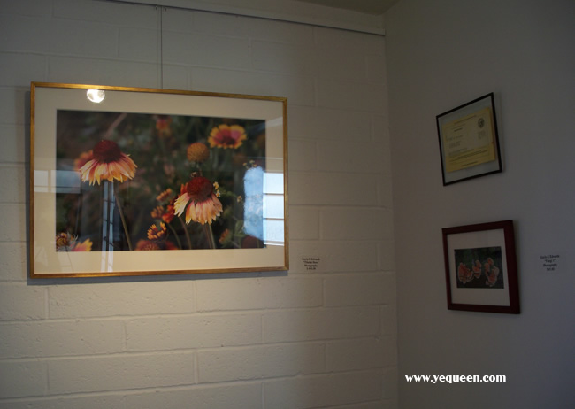 Zhou Ying,Ying Zhou,Oil paintings,Art Exhib