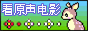 ѧӢ���нݾ�